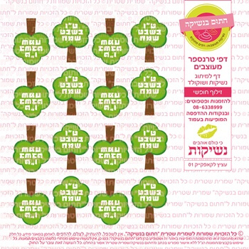 דף טרנספר
