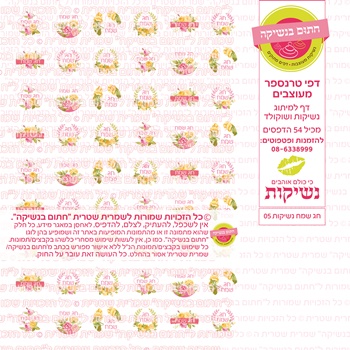 דף טרנספר