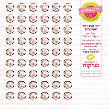דף טרנספר