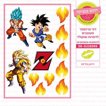 דף טרנספר