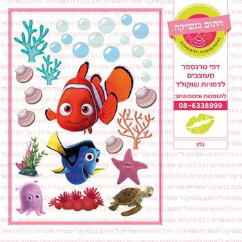 דף טרנספר