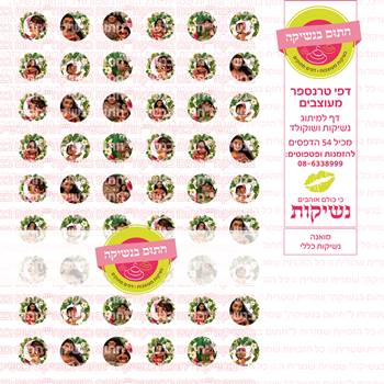 דף טרנספר