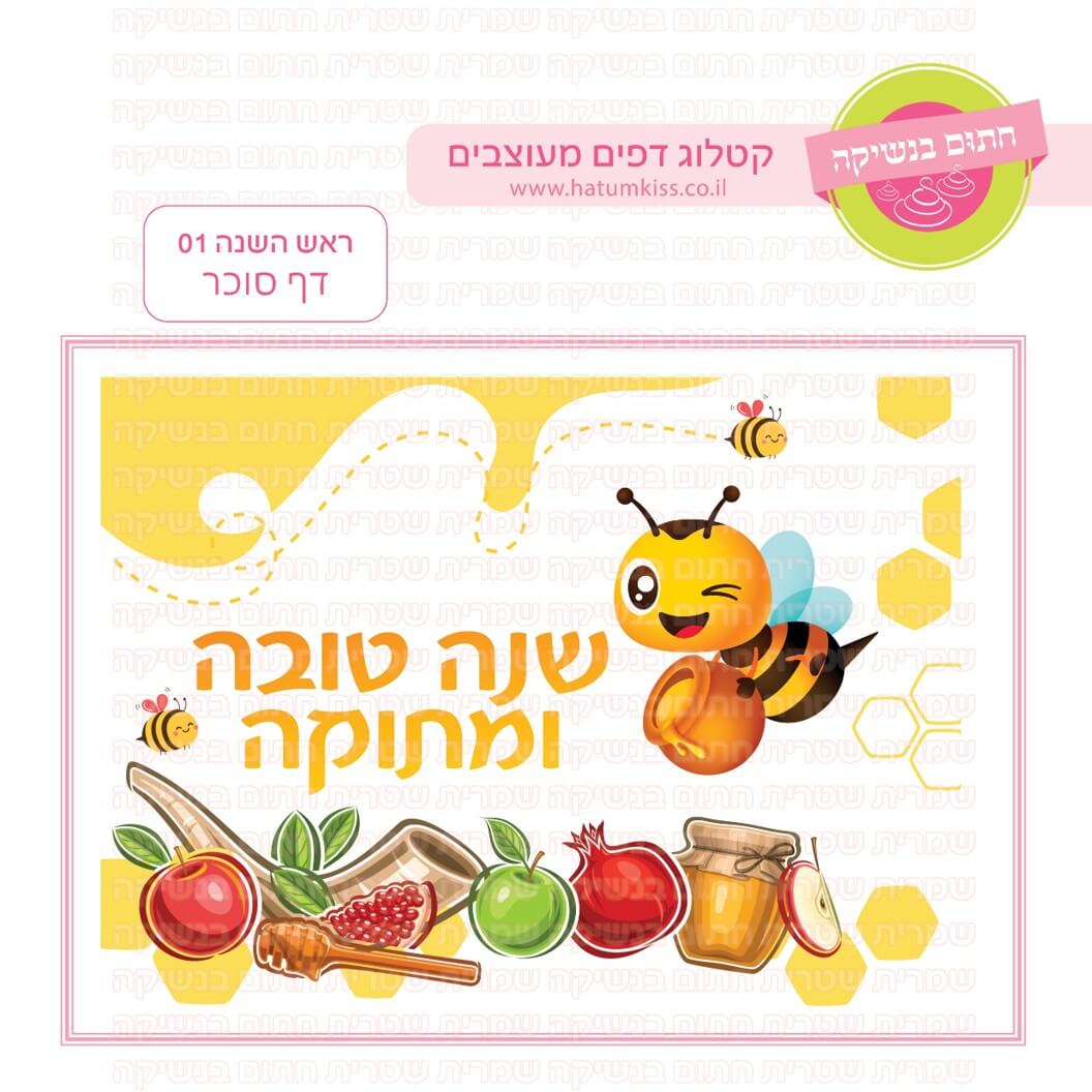 דף טרנספר