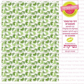 דף טרנספר