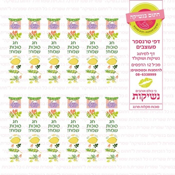 דף טרנספר